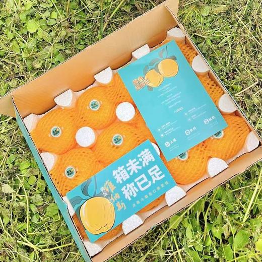 维纳斯 家庭彩箱装4.5-4.7斤 商品图0