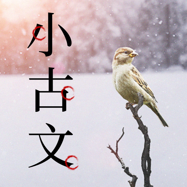 26寒春 走进小古文 试听