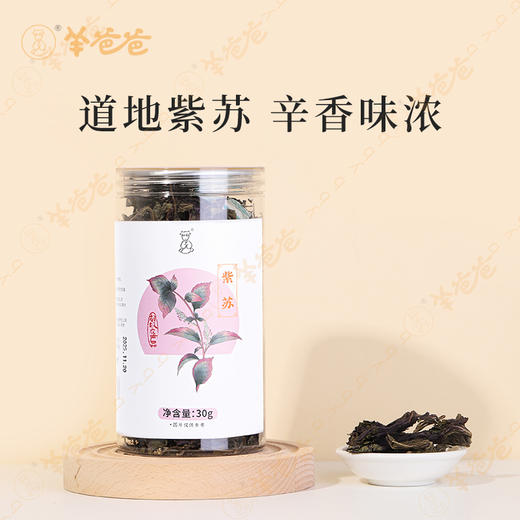 【紫苏】广东紫苏 辛香不燥 煮茶煲汤皆佳 商品图4