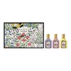 【一口价】Gucci 古驰 绮梦花园EDP香水套盒 30ml*3（木兰+香草兰+栀子花） 商品缩略图2