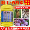 龙蟒福生引吲诱吲哚丁酸S诱抗素促进新根生长农药调节剂正品 商品缩略图1