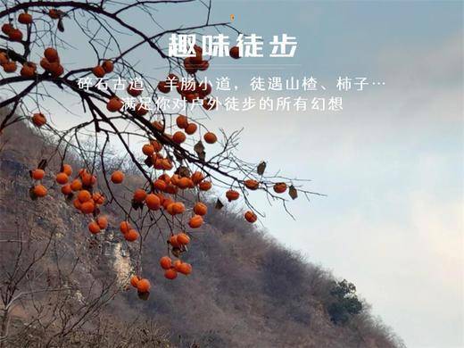 【三角城1日】安静悠然的高山风光の三角城-青杠尖-大青杠-鱼骨寺13公里环穿<初级强度> 商品图6