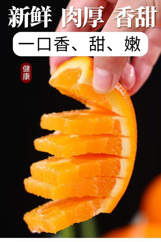 四川凉山雷波脐橙新鲜现货现摘现发当季整箱10斤孕妇水果橙子 商品图6
