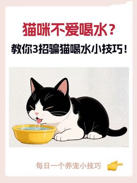 爱宠不肯喝水？3个“骗水”技巧让它吨吨吨喝到舔碗！