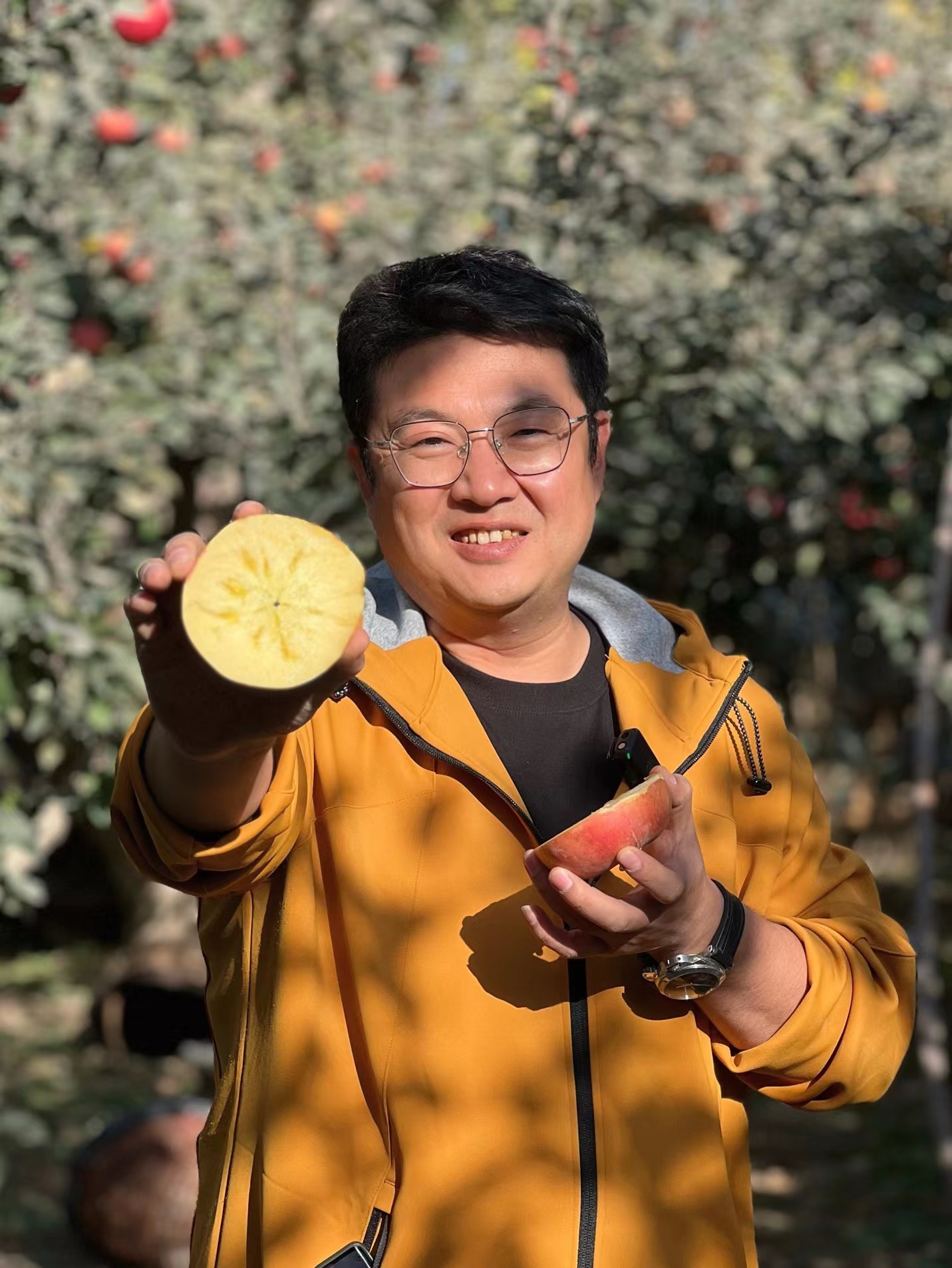 【SGS 102项农残O检出】【新疆阿克苏糖心苹果】果肉细腻  甜脆多汁  家庭/礼盒装任选