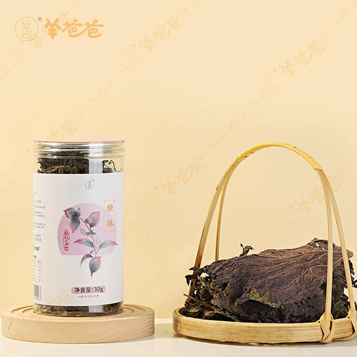 【紫苏】广东紫苏 辛香不燥 煮茶煲汤皆佳 商品图1