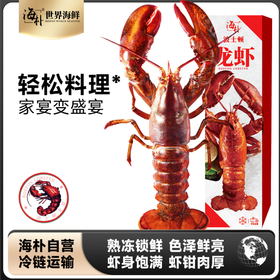 海朴波士顿龙虾现货冷冻大龙虾小青龙冰鲜海鲜水产年货礼盒