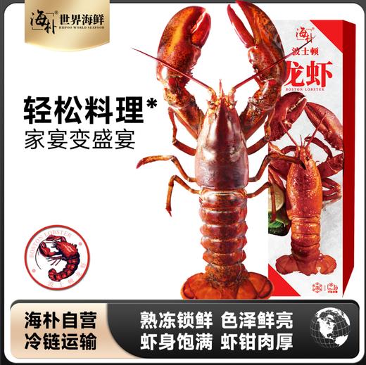 海朴波士顿龙虾现货冷冻大龙虾小青龙冰鲜海鲜水产年货礼盒 商品图0