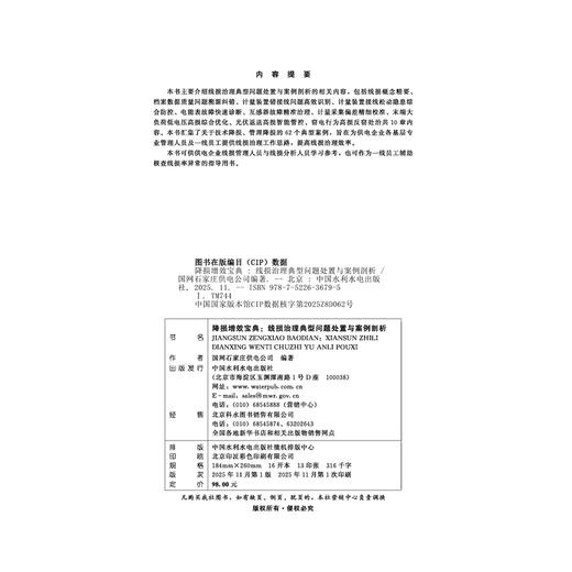 降损增效宝典：线损治理典型问题处置与案例剖析 商品图2