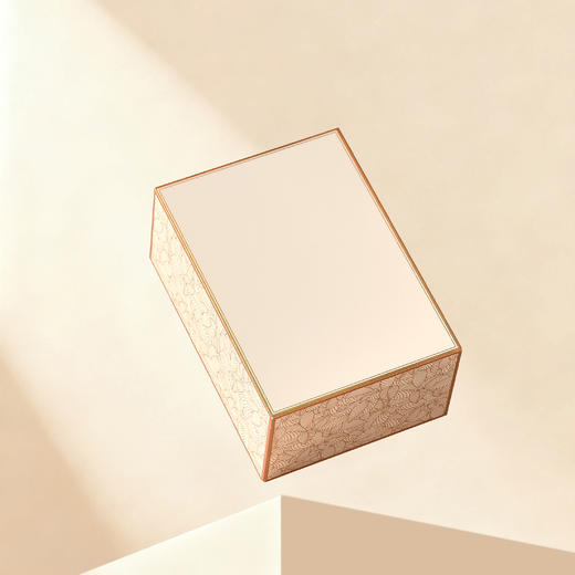 金枝玉叶【单罐 米色】25元一套/一件24套 商品图8