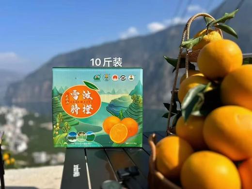 四川凉山雷波脐橙新鲜现货现摘现发当季整箱10斤孕妇水果橙子 商品图1