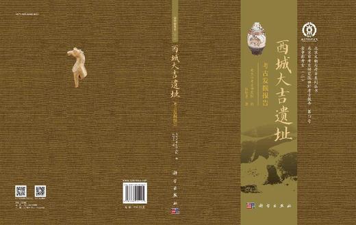 西城大吉遗址考古发掘报告 商品图3