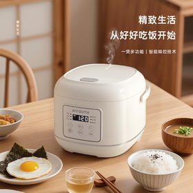 AIYOUTH艾青春4L电饭煲AI-FB408