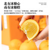 麻阳冰糖橙#当季现摘现发 ，纯甜无酸，果肉细腻化渣、皮薄多汁水 商品缩略图1