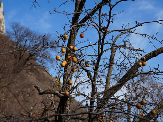 【三角城1日】安静悠然的高山风光の三角城-青杠尖-大青杠-鱼骨寺13公里环穿<初级强度> 商品图12