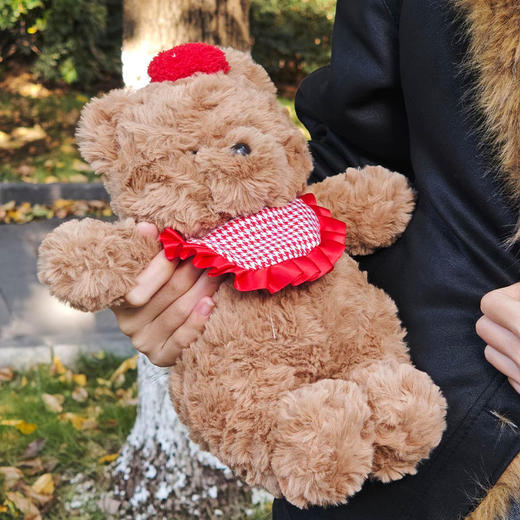 【礼物季】多乐小熊玩偶可爱毛绒公仔安抚娃娃生日礼物-纪念日百货门店同款167950665 商品图4