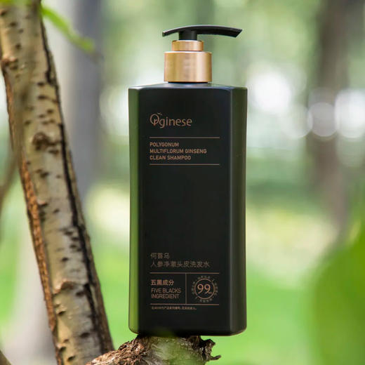 热卖！五黑植萃 滋养头皮 欧橘Orginese 何首乌人参净澈头皮毛囊洗发水 500ml/瓶 商品图6