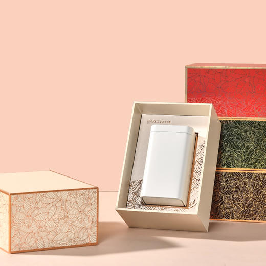 金枝玉叶【单罐 米色】25元一套/一件24套 商品图4