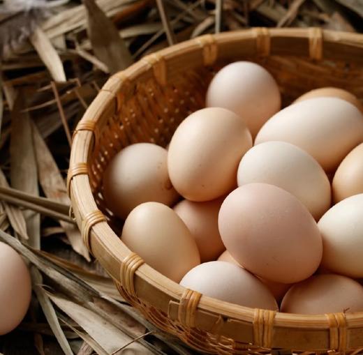 檬爸亲选 宝宝放心鸡蛋 山地散养土鸡蛋 商品图1