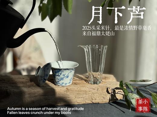 【好茶来了】2025头采米针《月下芦》，毫香浓郁，汤水稠润，浓浓芦荻毫香，诗经里的野草们有了现实的具象~~ 商品图7