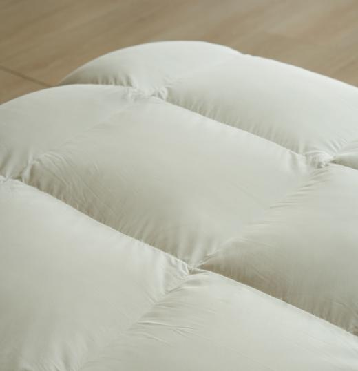 舒雅生活绒耀羽绒春秋被面料,55%棉,45%聚酯纤维,填充,100%白鸭绒（绒子含量90%）（M700g/L800g)12040277/12040278 商品图5