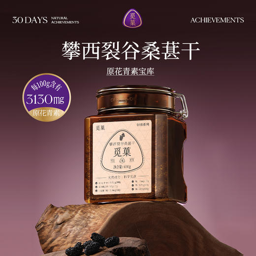 觅菓AA+攀西裂谷桑葚干400g 商品图0