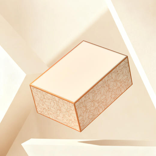 金枝玉叶【单罐 米色】25元一套/一件24套 商品图7