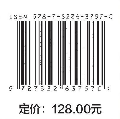 城市洪涝灾害智能预报与多尺度损失动态预警研究 商品图2