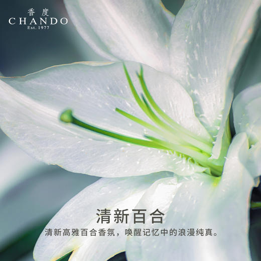 香度沁兰 无火香薰室内持久家用淡香陶瓷熏香精油摆件 高级感礼物 商品图11