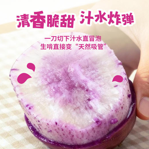 一号农场2025当季新品紫萝卜冰淇淋胡萝卜新鲜脆甜爆汁甜心不辣皮薄好吃 商品图3