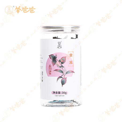 【紫苏】广东紫苏 辛香不燥 煮茶煲汤皆佳 商品图9