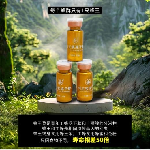 蜂王浆冻干粉0.5g*30瓶/盒 商品图2