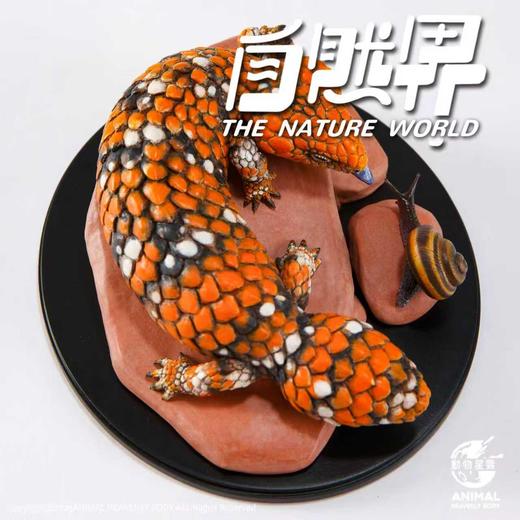 【预售】西部松果蜥 树脂模型摆件 自然界系列 手办潮玩 动物星云官方正版【★ 2026年2月初发货】 商品图4