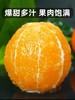 四川凉山雷波脐橙新鲜现货现摘现发当季整箱10斤孕妇水果橙子 商品缩略图4