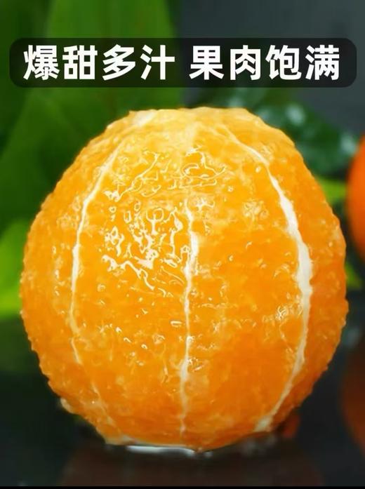 四川凉山雷波脐橙新鲜现货现摘现发当季整箱10斤孕妇水果橙子 商品图4