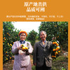 麻阳冰糖橙#当季现摘现发 ，纯甜无酸，果肉细腻化渣、皮薄多汁水 商品缩略图3