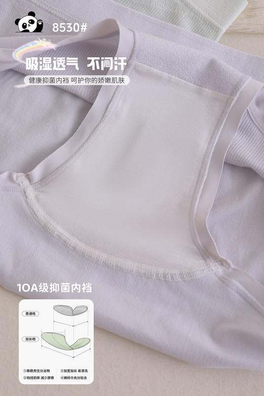 女士大版熊猫提臀高弹力无缝舒适内裤三角裤8530 商品图3
