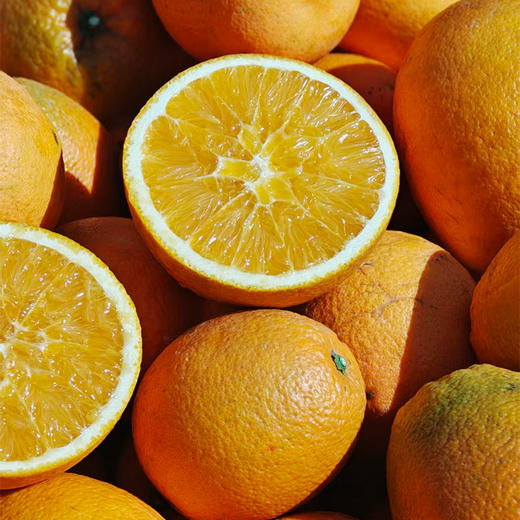 【2份立减5元】新鲜水果 郧阳区青曲纽荷尔脐橙  5斤装（全国包邮，部分地区除外） 商品图1