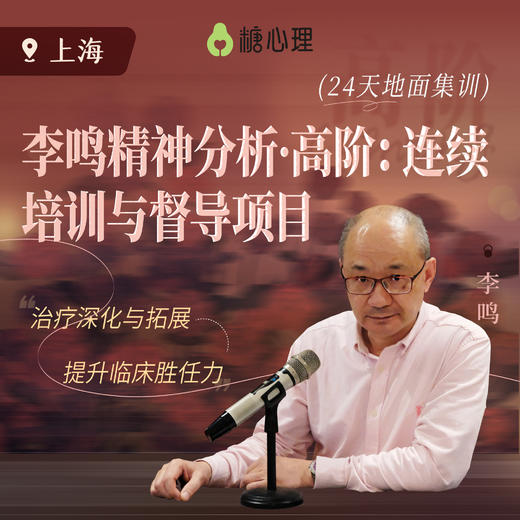 【24天地面集训】李鸣精神分析·高阶 商品图0
