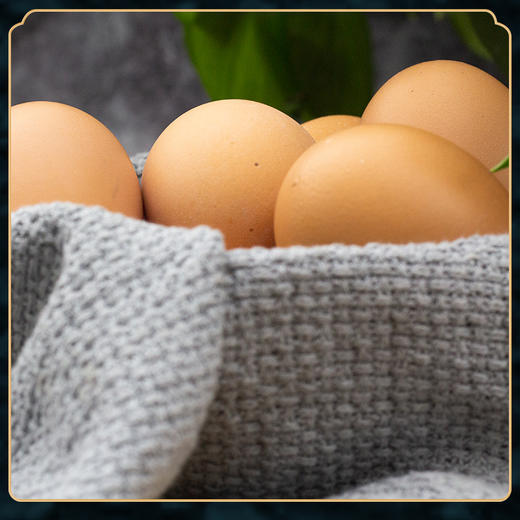 [最农公社]年货节|山东优选双黄蛋鸡蛋10枚/20枚谷物喂养 吃一个双倍营养 商品图6
