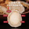 福东海 人参片250克 约1.0cm精挑吉林长白山生晒参片含参皂苷 商品缩略图3