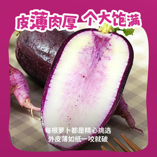 一号农场2025当季新品紫萝卜冰淇淋胡萝卜新鲜脆甜爆汁甜心不辣皮薄好吃 商品图2
