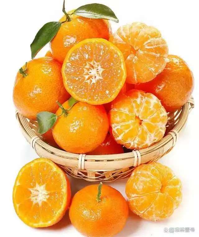 广西砂糖橘   整箱净18斤上下