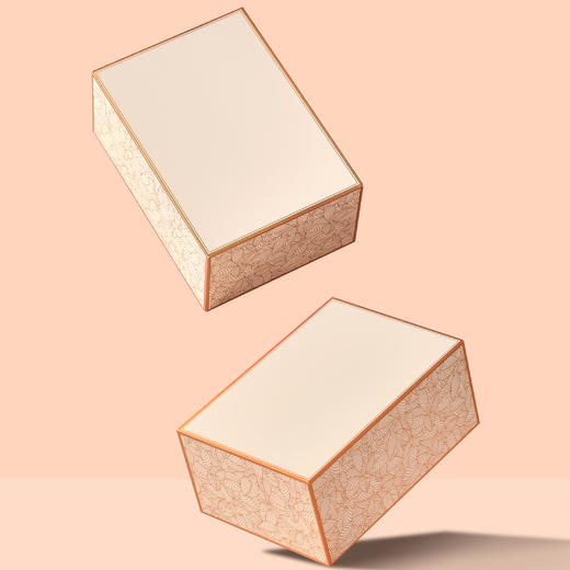 金枝玉叶【单罐 米色】25元一套/一件24套 商品图3