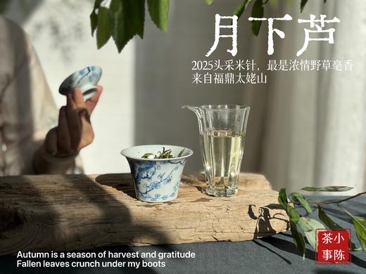 【好茶来了】2025头采米针《月下芦》，毫香浓郁，汤水稠润，浓浓芦荻毫香，诗经里的野草们有了现实的具象~~ 商品图10