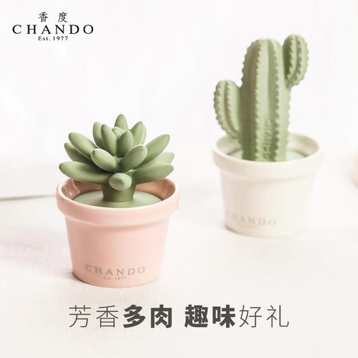 香度多肉陶瓷无火香薰 室内持久家用淡香熏香精油摆件 高级感礼物 商品图3
