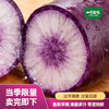 一号农场2025当季新品紫萝卜冰淇淋胡萝卜新鲜脆甜爆汁甜心不辣皮薄好吃 商品缩略图0