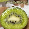 【京东快递】抱抱猴•瑞玉即食猕猴桃 树上熟 到手即食 硬着吃都甜 干物质含量18+ 糖度18度 ATX 商品缩略图3
