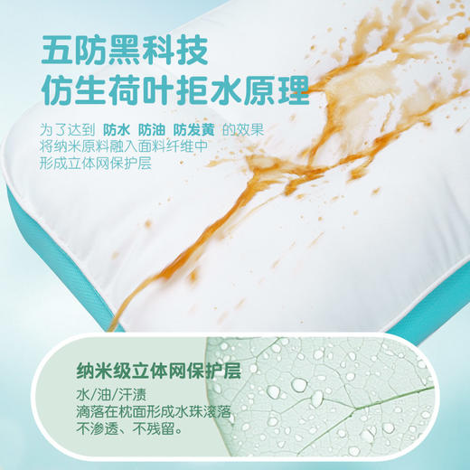 【赠同尺寸枕套】匹鲁亲子款分区五维防护枕儿童成人枕芯 防水 /防污/防发黄 /7A物理抗菌/物理阻螨【护颈深睡枕头专场】 商品图1
