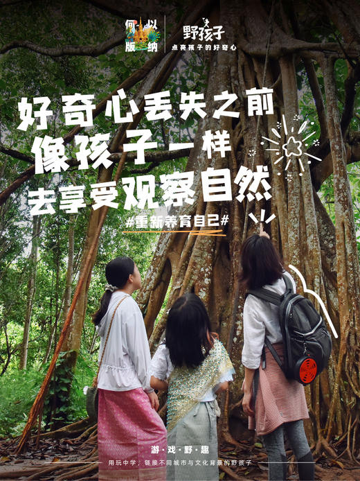 何以版纳，当自然王国开始说话【树语】7天6晚 商品图4